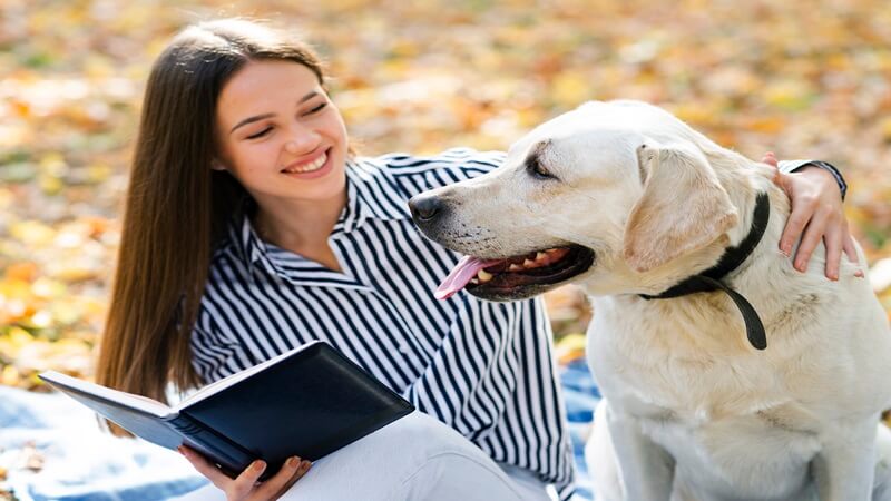 lwmfpets advice by lookwhatmomfound
