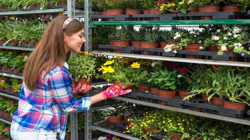 From Balcony to Backyard: Easy Garden Ideas for Every Home